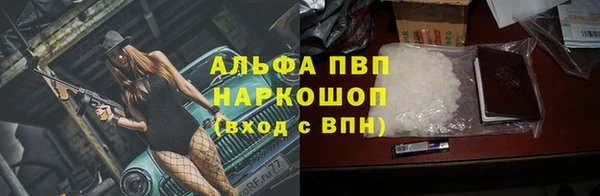 мяу мяу мука Михайлов