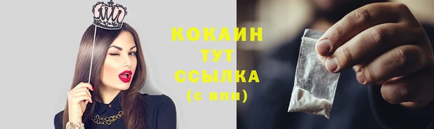 мяу мяу мука Михайлов