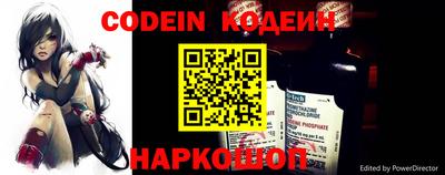 гашик Моздок