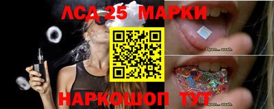 гашик Моздок