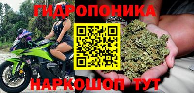 гашик Моздок