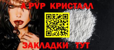 гашик Моздок