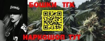 гашик Моздок