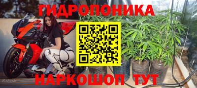 гашик Моздок