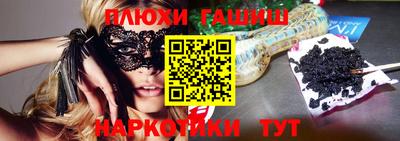 гашик Моздок
