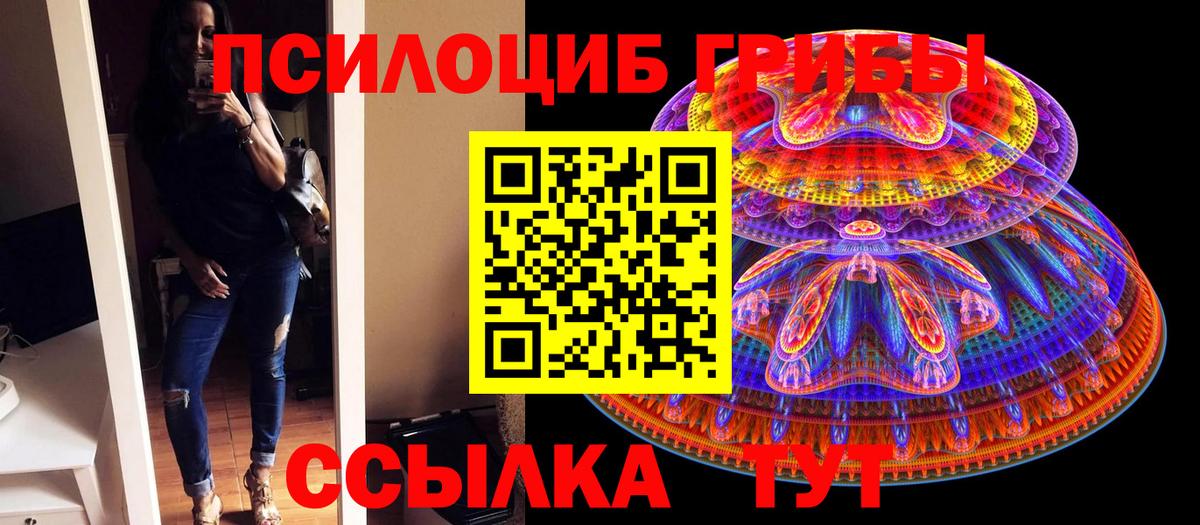 Псилоцибиновые грибы Cubensis  Вход с VPN  Галлюциногенные грибы GOLDEN TEACHER  Россошь 